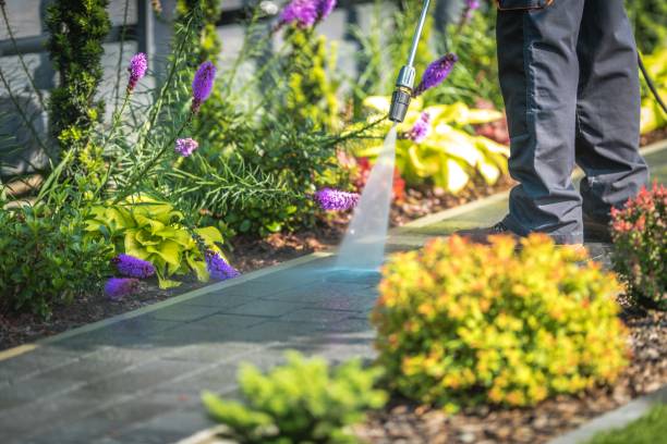Best Fence Cleaning  in Mims, FL