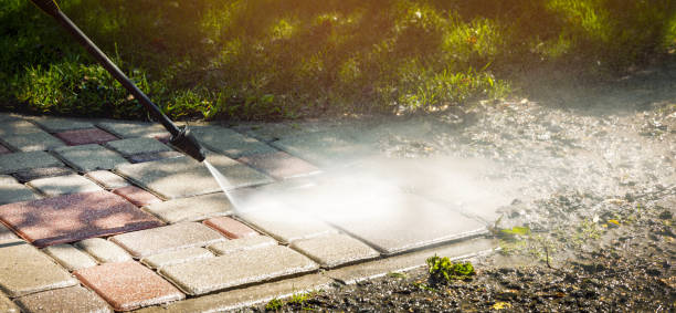 Solar Panel Cleaning in Mims, FL